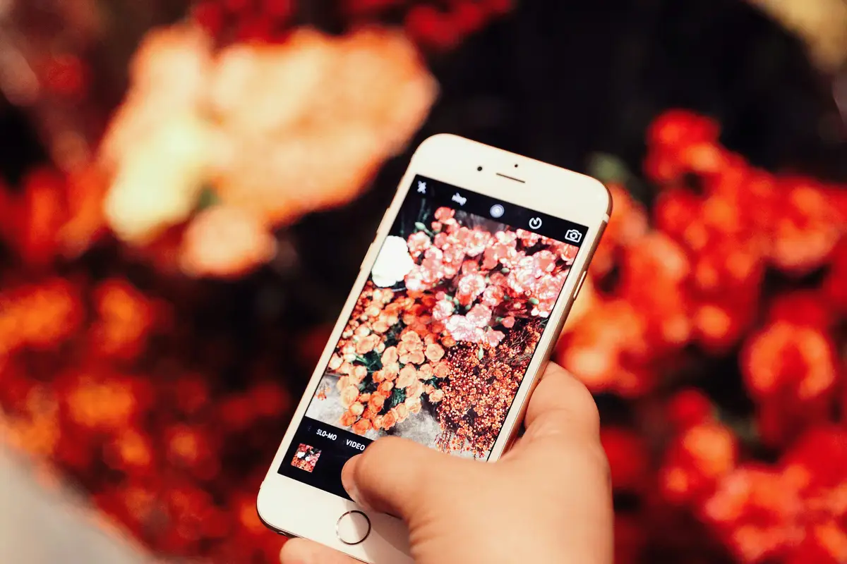 Fundacja rodzinna jako tarcza finansowa